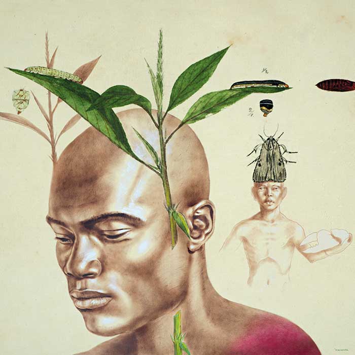 View Rafael  Trelles artworks, exclusive content and biographical information