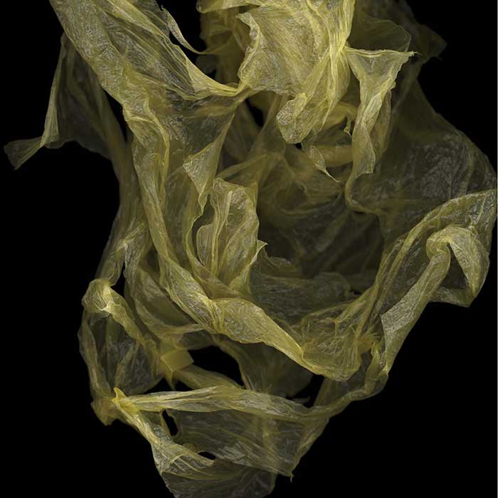 View Huang Xu artworks, exclusive content and biographical information