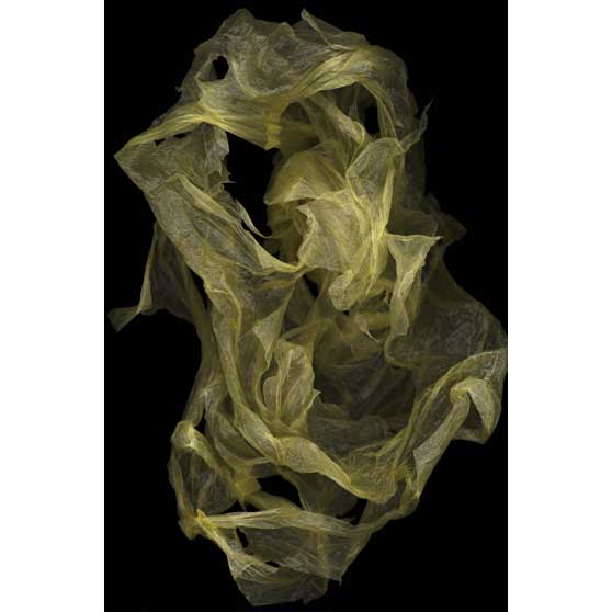 Huang Xu, Fragment No.3, 2007, HX003