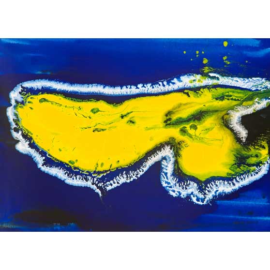 Samantha Hobson, Big Reef , 2008 SMH_OG_009