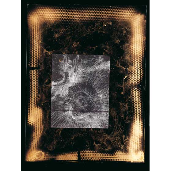 William S. Burroughs, Venus Rising like a Kansas Sunflower, c. 1990 WSB125