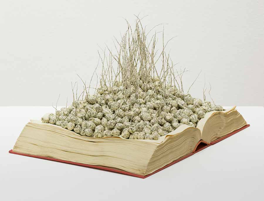 Jukhee Kwon, Sprouting, 2019. Paper (book), 16 x 29 x 20 cm. 