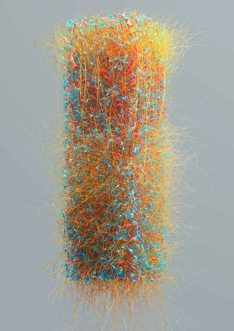 Blue Brain Project, Digital Vistas Illuminate the Complexity of the Mind - Neurons, Astrocytes and Blood Vessels. Science &amp; algorithms - Eleftherios Zisis, visualisation research and design - Nicolas Antille. ©2005-2018 Blue Brain Project, EPFL All rights reserved.