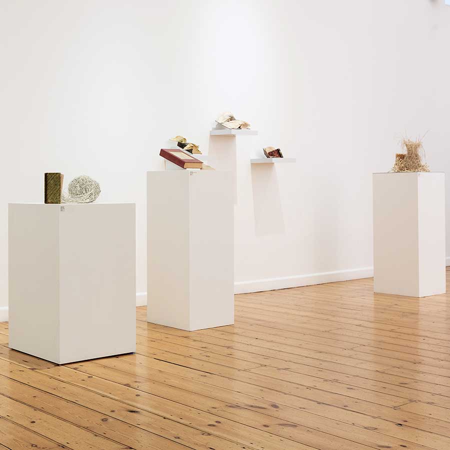 Installation View of Jukhee Kwon: Liberated