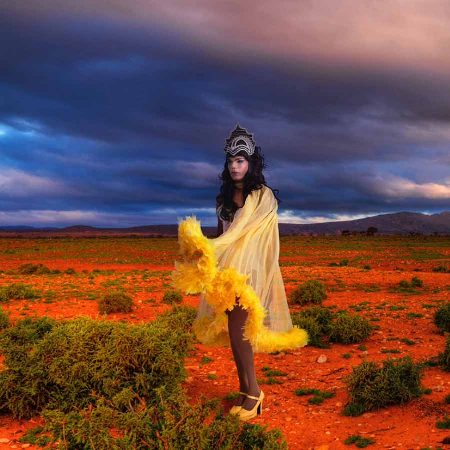 Michael Cook, Australian Landscape #7 (detail), 2010 Inkjet print, 60 x 150 cm, Edition of 8.